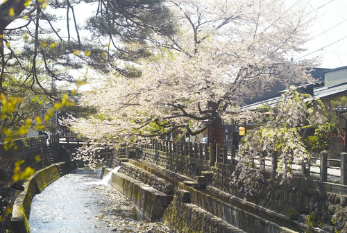 高山「式年大祭」_b0212922_23274499.jpg