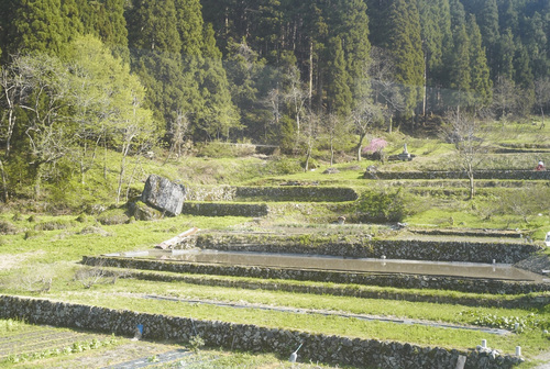 帰り道の車窓から_b0212922_23294892.jpg