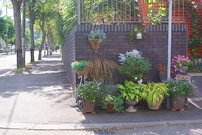 f0170524_13192152.jpg