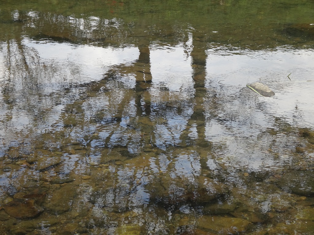 出雲の国の神さま_e0128926_22514364.jpg