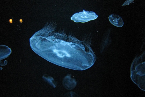 f0225627_91579.jpg