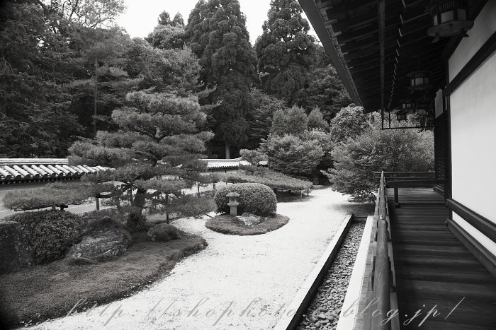 c0189533_76010.jpg