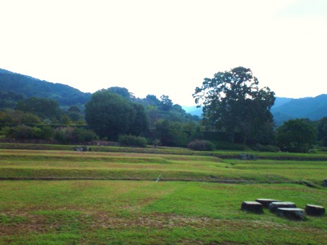 d0165735_13253714.jpg