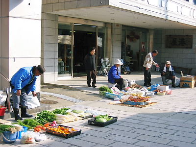 e0022839_235111.jpg