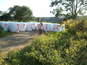 今年の牧草収穫作業、終了_f0097539_20313481.jpg