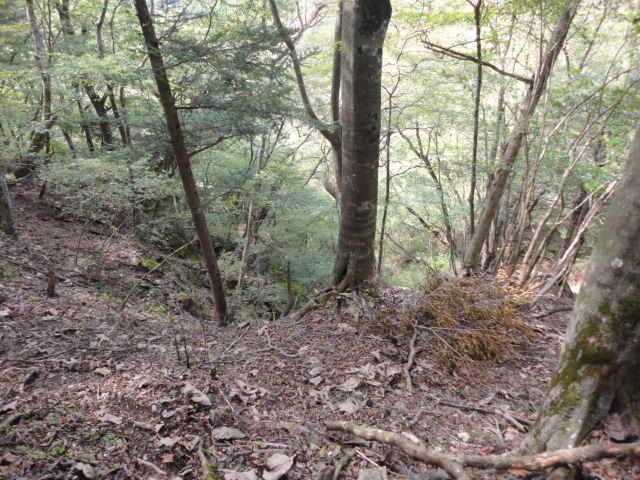 a0048040_22474788.jpg
