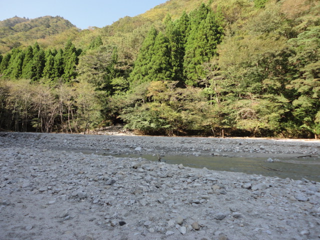 a0048040_22522256.jpg