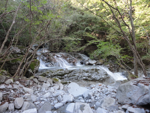a0048040_2252989.jpg