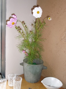 秋のお花 _b0132442_17225440.jpg