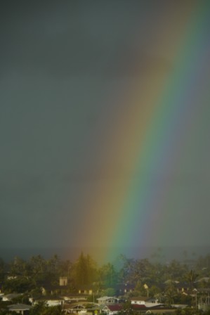 b0126453_40479.jpg