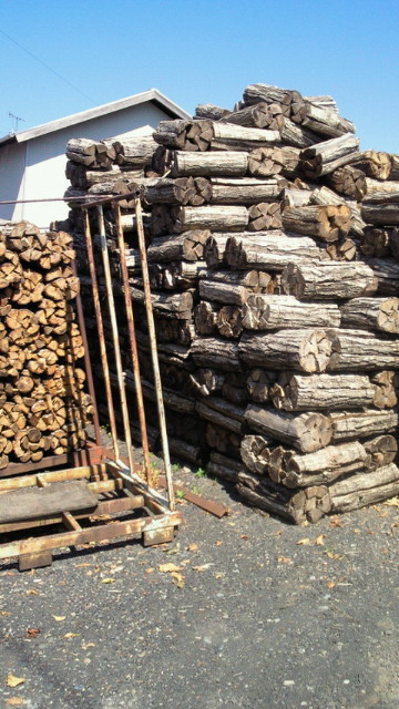f0046854_802322.jpg