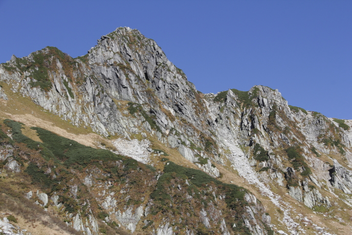 c0202860_88323.jpg