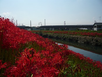 f0106664_73301.jpg