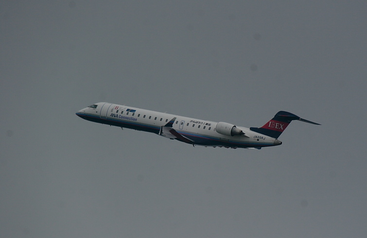 b0075165_04592.jpg