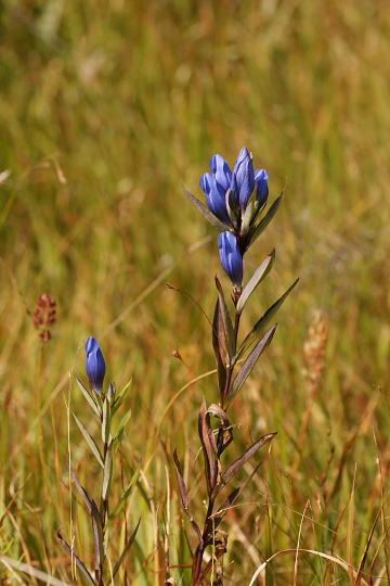 e0054067_22401.jpg
