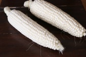 f0120569_82879.jpg
