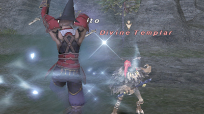 FFXI　シーフ72→75_a0025776_2401654.jpg