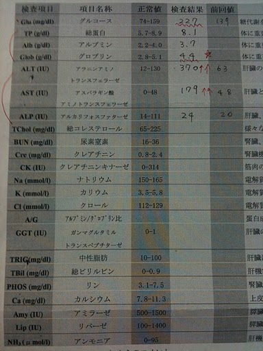 5日目  PCV20／ステロイドの副作用_e0247977_132535.jpg