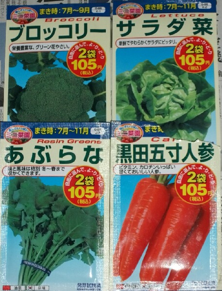 ダイソーの種の種蒔きと枝豆用黒豆の収穫 ブルーベリーの育て方 栽培 ブルーベリー ノート Blueberrynote ダイソーの種の種蒔きと枝豆用黒豆の収穫 ブルーベリーの育て方 栽培 ブルーベリー ノート Blueberrynote