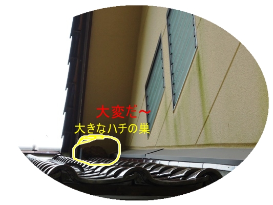 a0199979_16394461.jpg