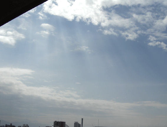c0095679_10392046.gif