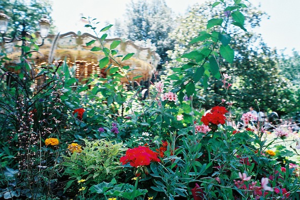f0046982_751431.jpg