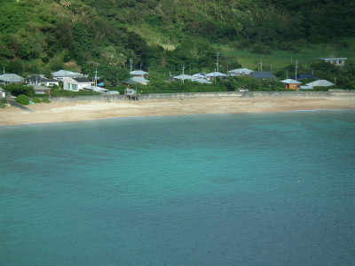 二度目のクロマグロ♪_e0028387_18582237.jpg