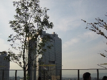 d0212993_169979.jpg