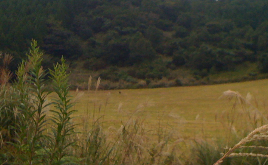 d0241394_23561096.jpg