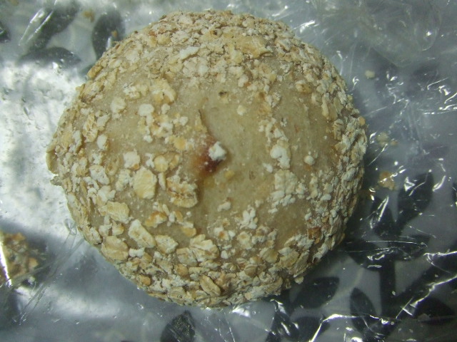 アゲハクラシック 雑穀チーズ_f0076001_0192177.jpg