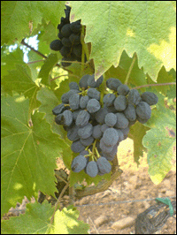 b0116902_9461672.gif