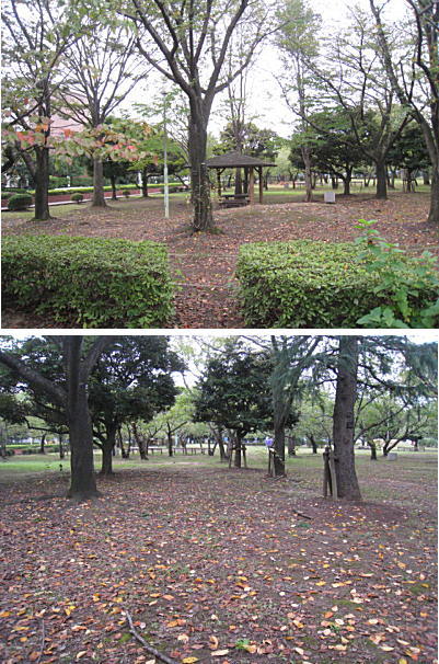 d0046702_1094994.jpg