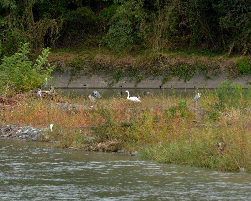 e0103903_18424657.jpg