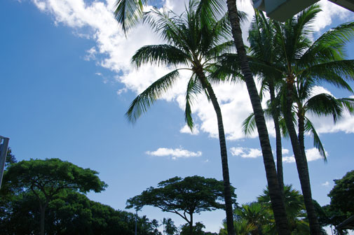 f0036603_1881021.jpg