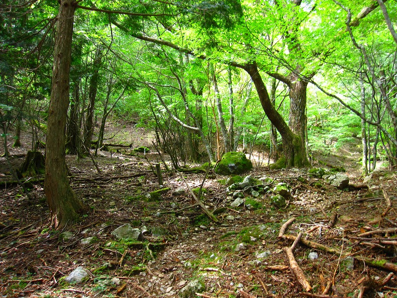 富士の池　（コリトリ）　から　一の森　～　槍戸山_b0124306_19413376.jpg