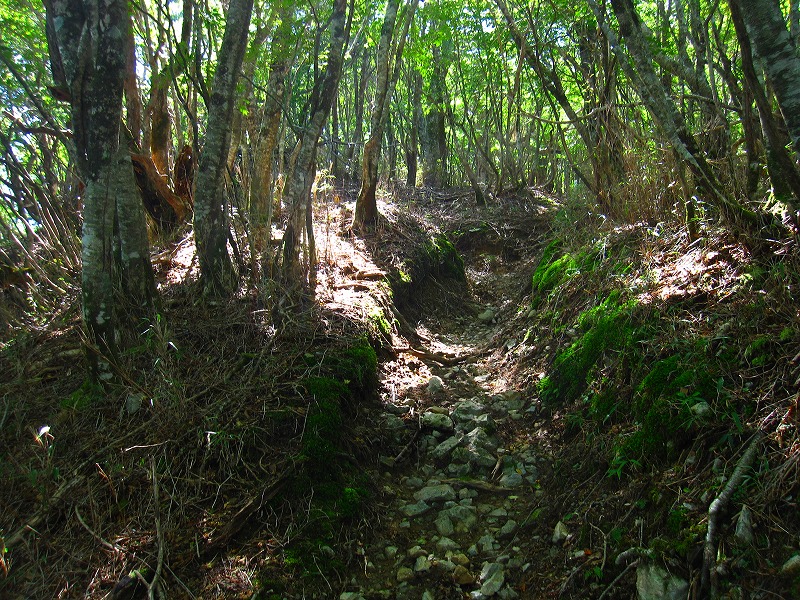 富士の池　（コリトリ）　から　一の森　～　槍戸山_b0124306_19551582.jpg