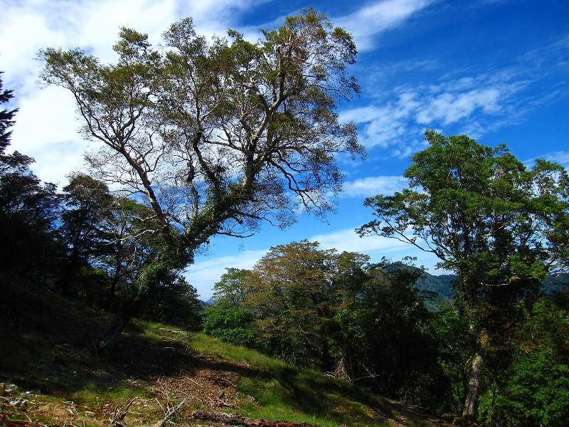 富士の池　（コリトリ）　から　一の森　～　槍戸山_b0124306_19564736.jpg