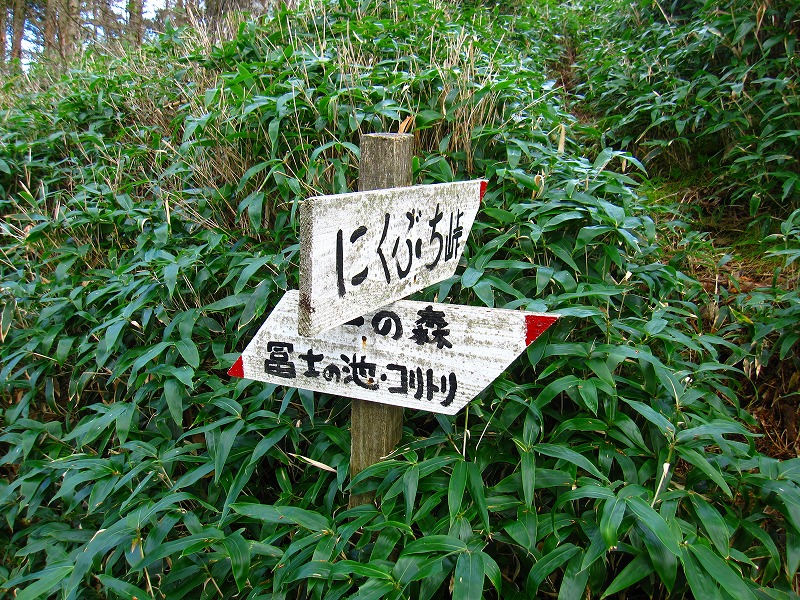 富士の池　（コリトリ）　から　一の森　～　槍戸山_b0124306_20104312.jpg