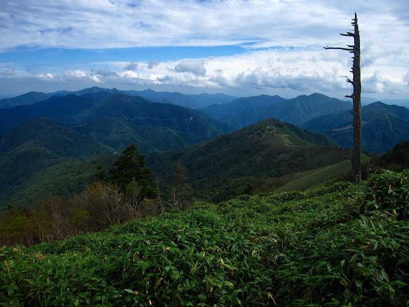 富士の池　（コリトリ）　から　一の森　～　槍戸山_b0124306_20202386.jpg