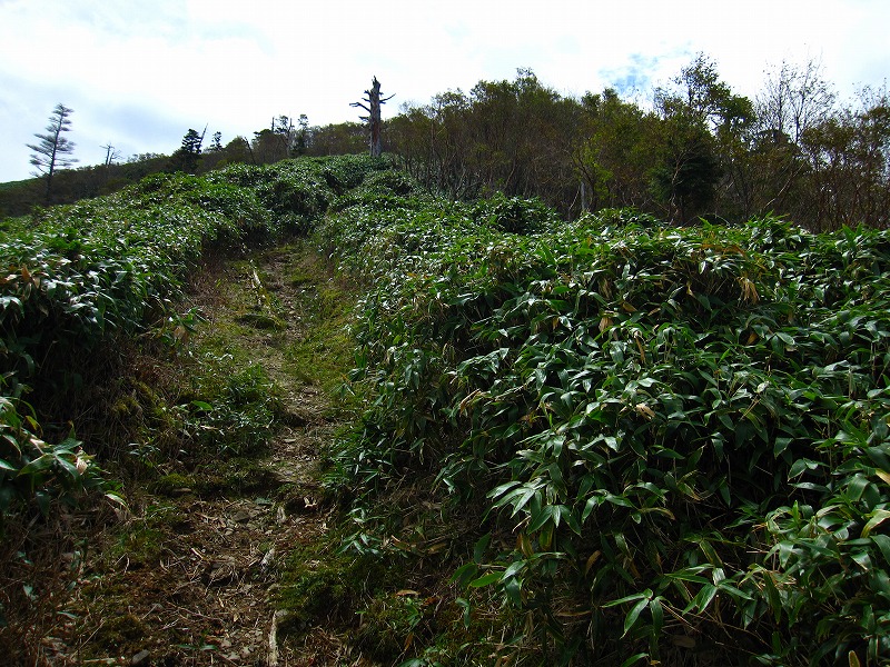 富士の池　（コリトリ）　から　一の森　～　槍戸山_b0124306_20212157.jpg