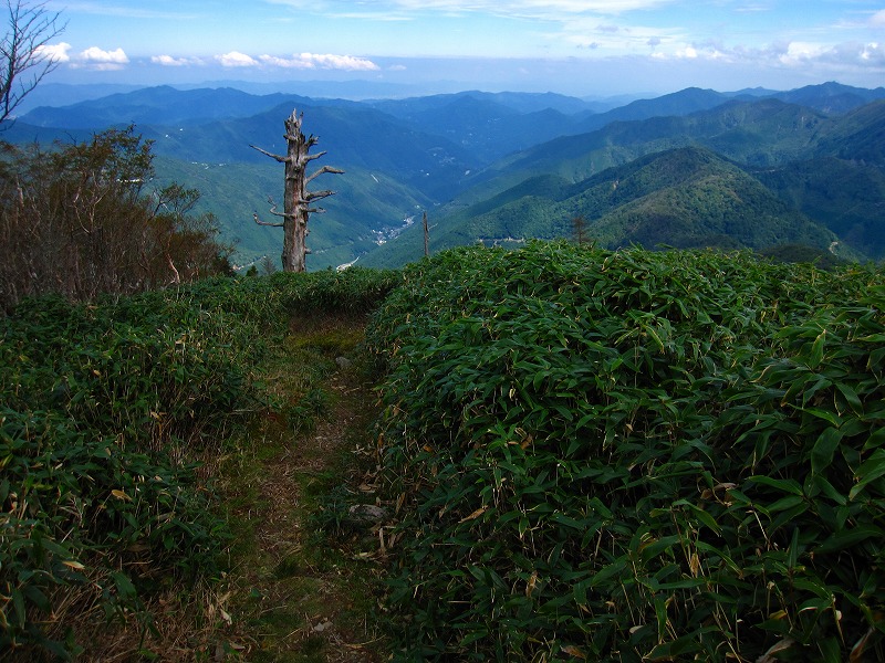 富士の池　（コリトリ）　から　一の森　～　槍戸山_b0124306_20231986.jpg