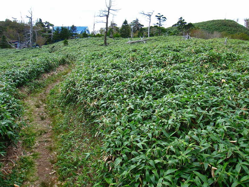 富士の池　（コリトリ）　から　一の森　～　槍戸山_b0124306_20243298.jpg