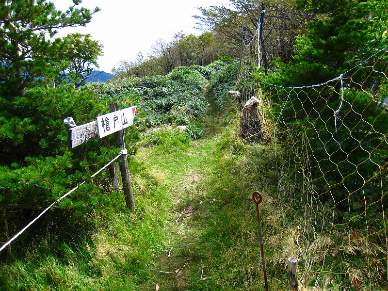 富士の池　（コリトリ）　から　一の森　～　槍戸山_b0124306_20522944.jpg