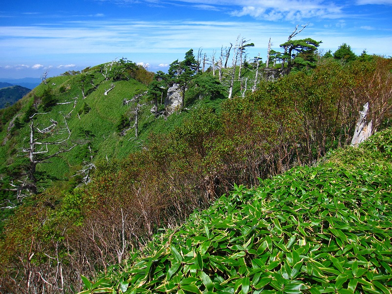 富士の池　（コリトリ）　から　一の森　～　槍戸山_b0124306_20565966.jpg