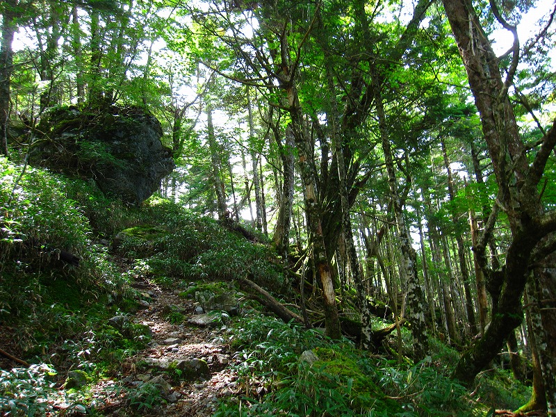 富士の池　（コリトリ）　から　一の森　～　槍戸山_b0124306_2081676.jpg