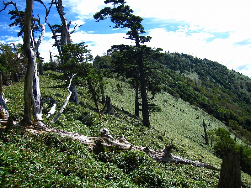 富士の池　（コリトリ）　から　一の森　～　槍戸山_b0124306_21124687.jpg