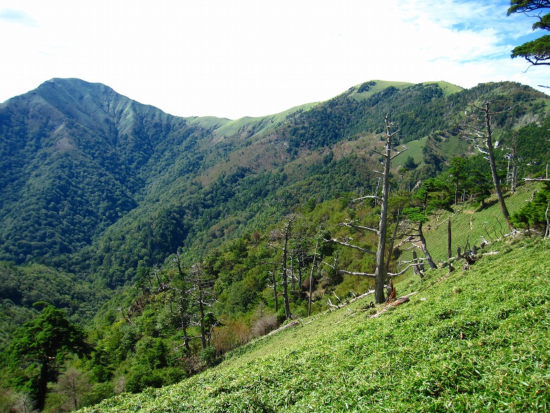 富士の池　（コリトリ）　から　一の森　～　槍戸山_b0124306_21163914.jpg