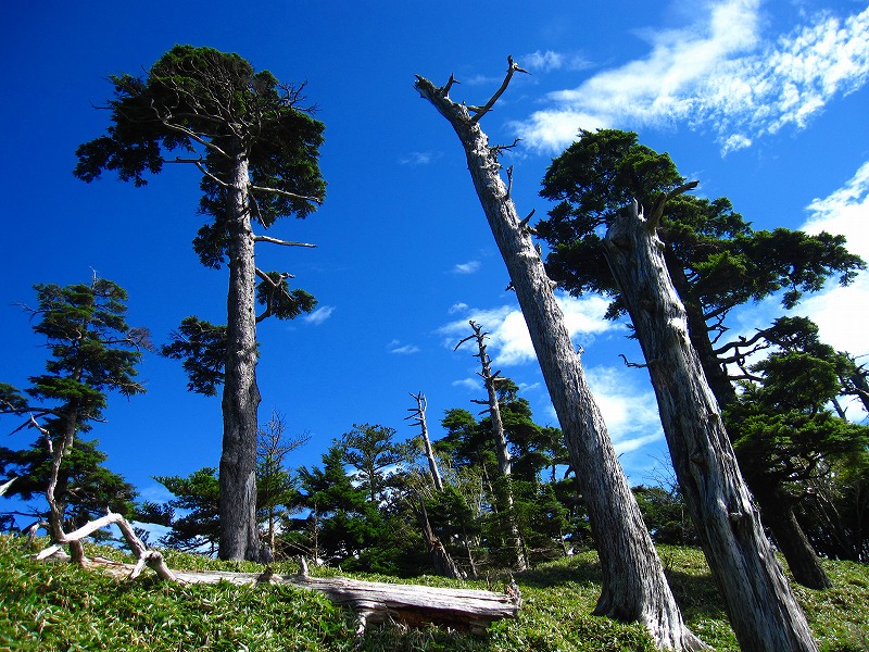 富士の池　（コリトリ）　から　一の森　～　槍戸山_b0124306_21181363.jpg