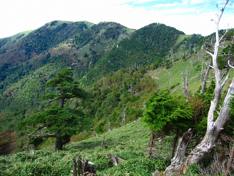 富士の池　（コリトリ）　から　一の森　～　槍戸山_b0124306_2122399.jpg