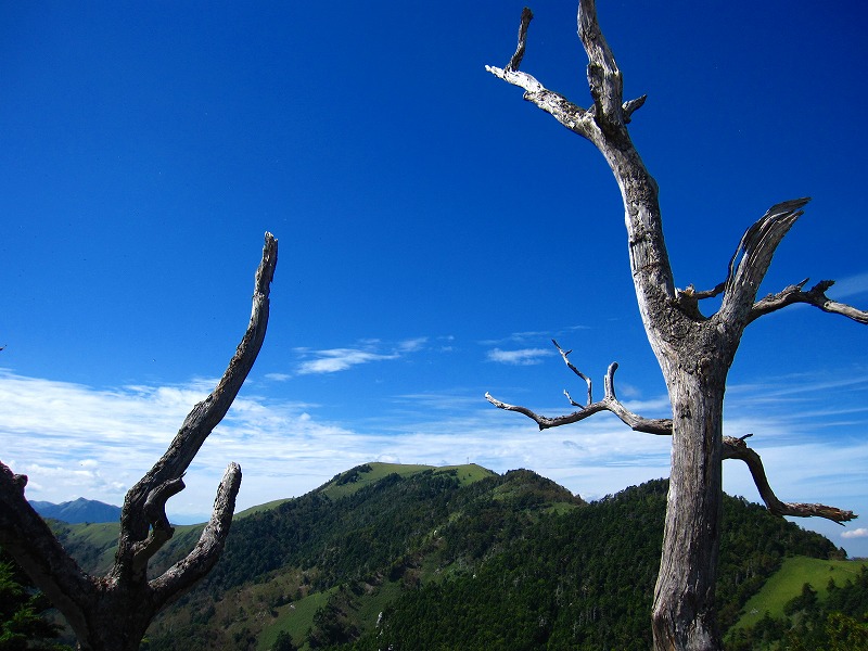 富士の池　（コリトリ）　から　一の森　～　槍戸山_b0124306_2124861.jpg